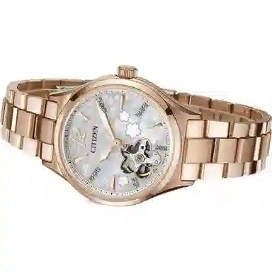 CITIZEN 34mm PC1018-69D