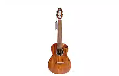 Brightsun BS-21C 2326