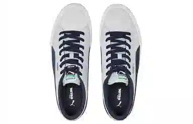 PUMA Suede Skate Nitro Grey Blue