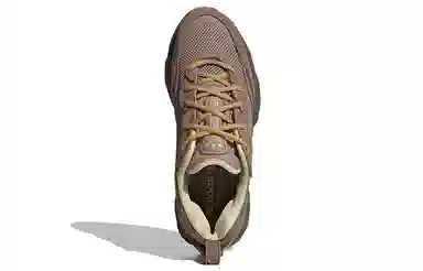 adidas Ozweego Meta Brown