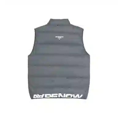 Aape Vest