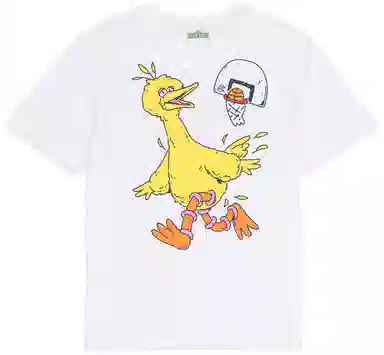 Under Armour Curry Big Bird Airplane