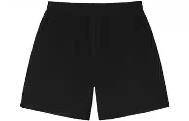Stussy SS22 Logo Curly S Water Short