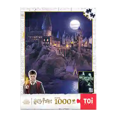 TOI 1000pcs