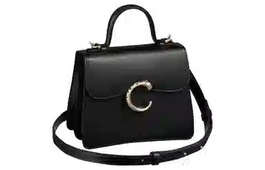 Cartier Panthère de Cartier