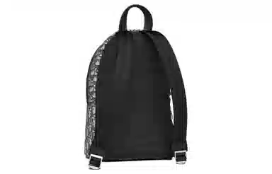 Dior Backpack