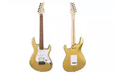 Cort G250 22Alnico V H-S-S