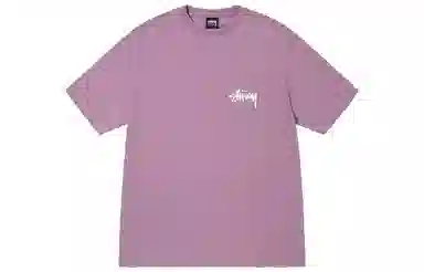 Stussy Coastline Tee