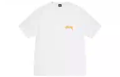 Stussy Coastline Tee