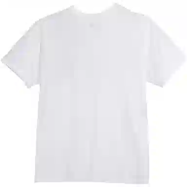 THE NORTH FACE Logo T