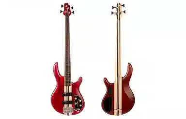 Cort Artisan A4 Plus FMMH 24 Bartolini MK-1