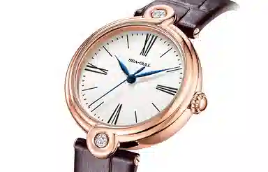 Sea-Gull 519.11.1043L