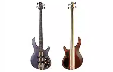 Cort Artisan A4 Plus FMMH 24 Bartolini MK-1