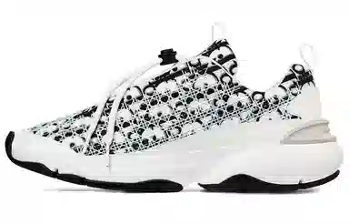 Dior B24