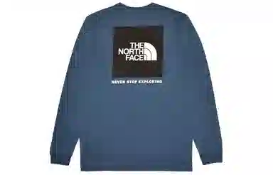 THE NORTH FACE Long Sleeve Box Nse Tee LogoT