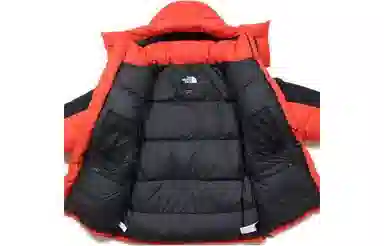 THE NORTH FACE SS22