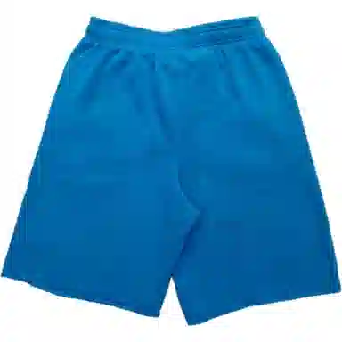 Champion Shorts