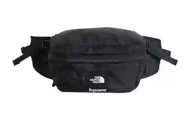Supreme x The North Face