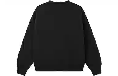 Champion FW22 Rochester C-Logo