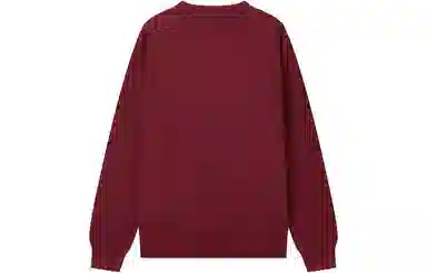 Champion FW22 Rochester c-logo