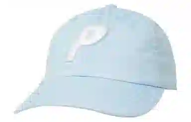 PALACE Logo