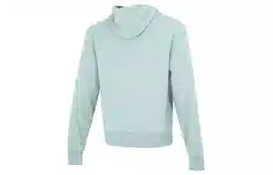 adidas originals Adicolor Hoody Logo