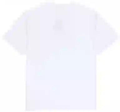 Dickies SS22 Logo Print Crewneck T-Shirt White