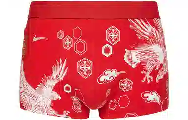 EVISU Boxer Briefs Animal Print