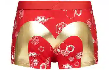 EVISU Boxer Briefs Animal Print