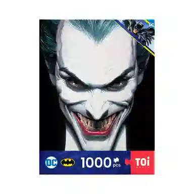 TOI DC Harley Quinn Puzzle 1000pcs