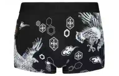 EVISU Boxer Briefs Animal Print