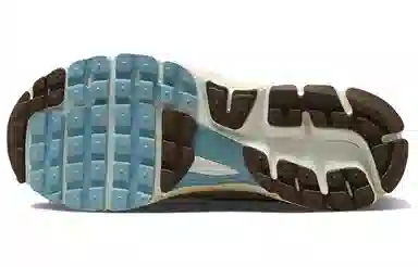 Nike Air Zoom Vomero 5 Beige