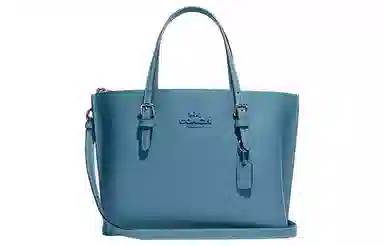 COACH Mollie 25 Logo Tote 25