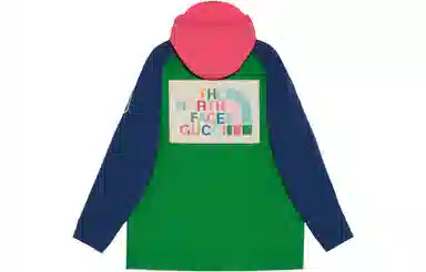 GUCCI x THE NORTH FACE GUCCI x THE NORTH FACE FW22
