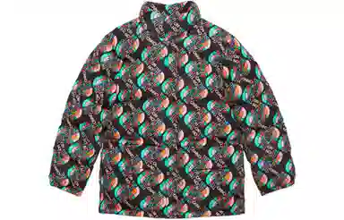 GUCCI x THE NORTH FACE FW22 Logo
