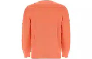 Polo Ralph Lauren Logo