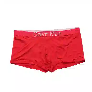 CKCalvin Klein Logo 1