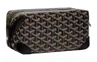 Goyard Travel Toiletry Bag