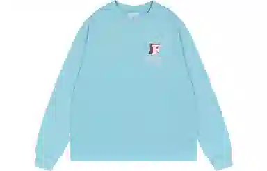 FEAROM T