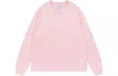 FEAROM T