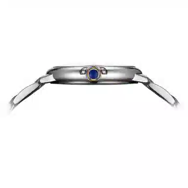 POSCER ins 50113L.WWW