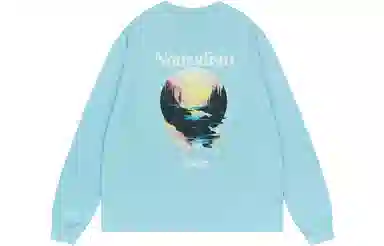 FEAROM T