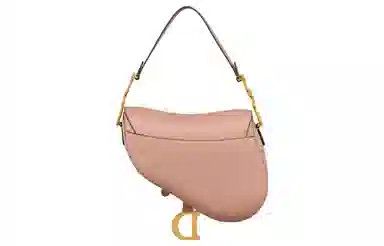 Dior Saddle Bag