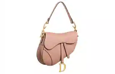 Dior Saddle Bag