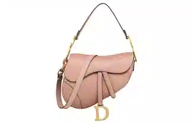 Dior Saddle Bag
