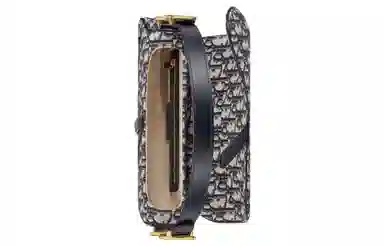 DIOR Saddle