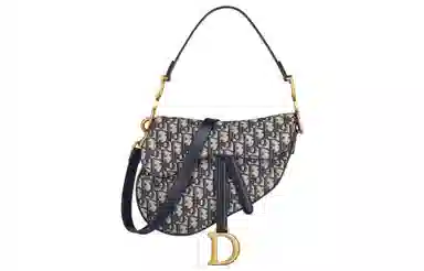 DIOR Saddle