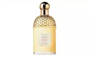 EDT 3075125ml