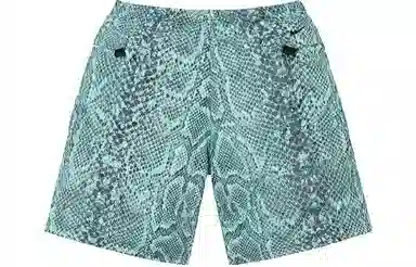 Supreme x Nike ACG Nylon Trail Short