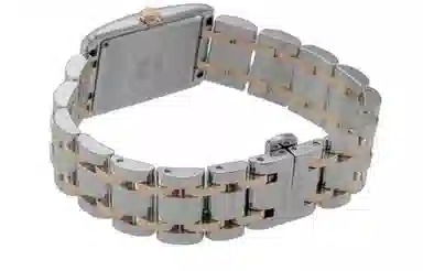 LONGINES 20.5*32mm L5.255.5.59.7